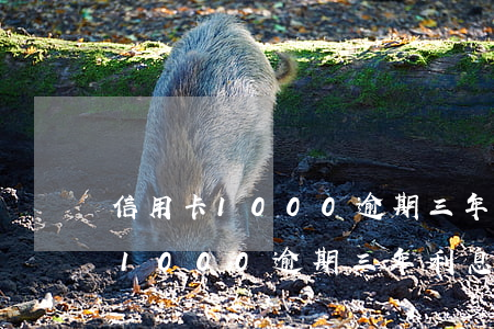 信用卡1000逾期三年利息多少-信用卡1000逾期三年利息多少錢