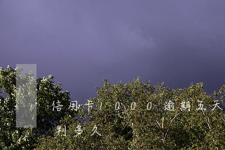信用卡1000逾期五天(信用卡逾期1萬5判多久)