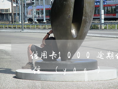 信用卡1000逾期（信用卡逾期200條短信驗(yàn)證）