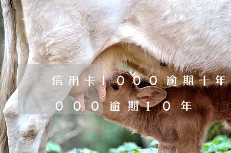 信用卡1000逾期十年要还多少(信用卡2000逾期10年)