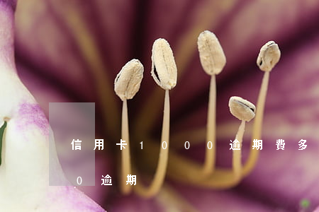 信用卡1000逾期費多少(信用卡10000逾期)