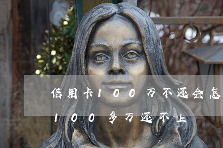 信用卡100万不还会怎样(我欠银行信用卡100多万还不上)
