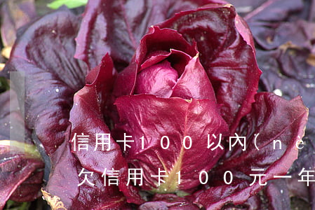 信用卡100以內(nèi)逾期了怎么辦(欠信用卡100元一年產(chǎn)生多少利息)