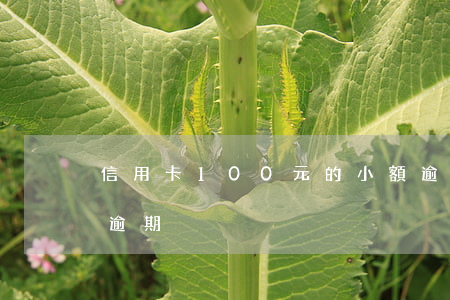 信用卡100元的小額逾期(100元以下的逾期)
