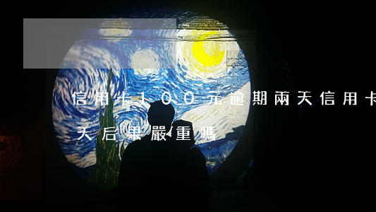 信用卡100元逾期兩天(信用卡逾期100天后果嚴重嗎)