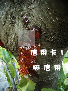 信用卡100塊逾期1個(gè)月怎么辦?。ㄐ庞每?00塊逾期1個(gè)月怎么辦）
