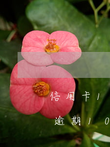 信用卡100塊錢逾期3天(信用卡200元逾期10天)