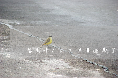 信用卡100多塊逾期了一天