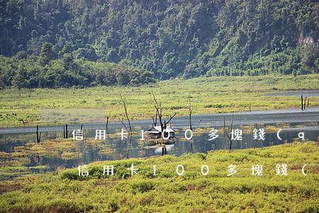 信用卡100多塊錢(qián)逾期3天(信用卡100多塊錢(qián)逾期3天怎樣)
