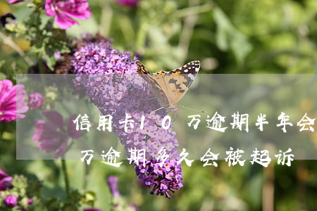 信用卡10万逾期半年会坐牢吗(信用卡10万逾期多久会被起诉)