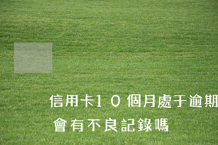 信用卡10個月處于逾期(信用卡逾期10天會有不良記錄嗎)