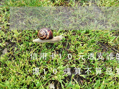 信用卡10元透支誰的錯(信用卡逾期后每月還10塊,算不算惡意透支)