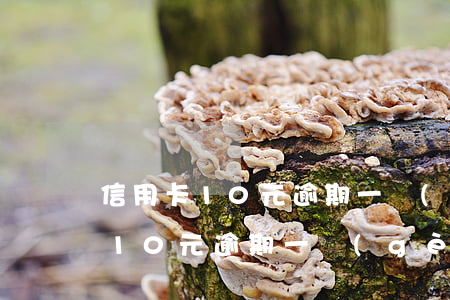 信用卡10元逾期一個(gè)月-信用卡10元逾期一個(gè)月影響信用嗎