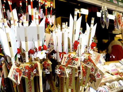 信用卡10元逾期八個(gè)月(信用卡10元逾期一個(gè)月)