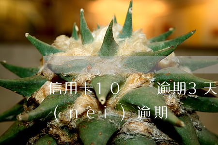 信用卡10塊錢逾期3天(信用卡30天以內(nèi)逾期)