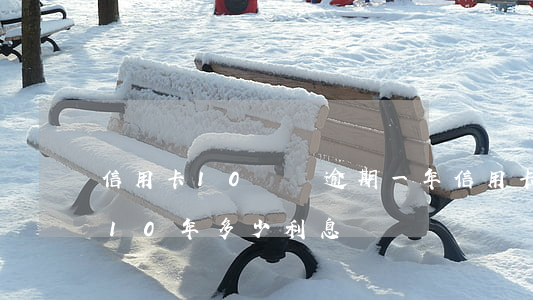 信用卡10塊錢逾期一年（信用卡48元逾期10年多少利息）