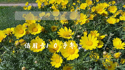 信用卡10多年沒還