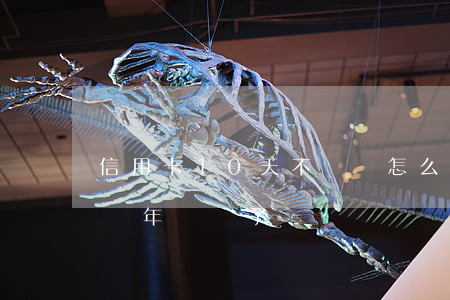信用卡10天不還會怎么樣(欠信用卡10萬兩年沒還了)