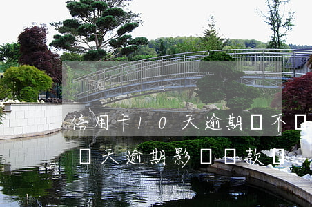 信用卡10天逾期會不會影響征信（信用卡十幾天逾期影響貸款嗎）