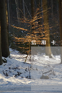 信用卡10幾天逾期（信用卡只逾期一次10天要緊嗎）