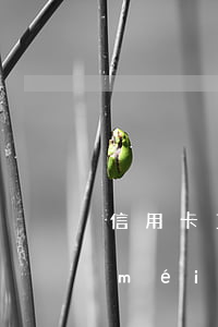 信用卡10幾天逾期（信用卡逾期十多天沒(méi)收到短信）