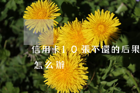 信用卡10張不還的后果(十張信用卡還不了怎么辦)