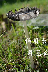 信用卡10萬(wàn)逾期三個(gè)月怎么辦啊-信用卡10萬(wàn)逾期三個(gè)月怎么辦啊多少錢