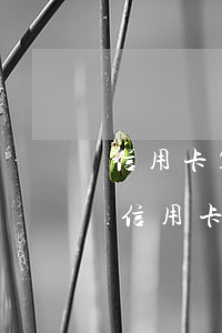 信用卡10萬(wàn)逾期還不上判幾年(信用卡10萬(wàn)逾期會(huì)坐牢嗎)