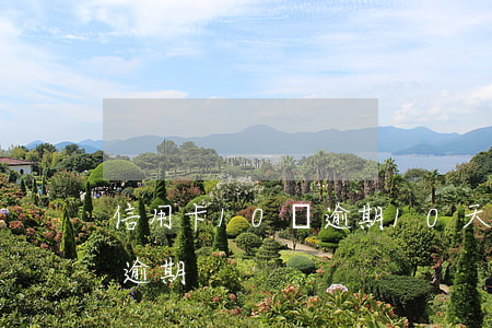 信用卡10萬逾期10天-信用卡10幾天逾期