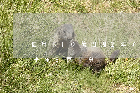 信用卡10萬逾期2年了(信用卡10萬逾期半年8萬利息)