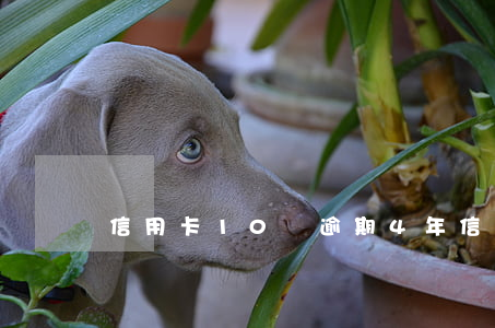 信用卡10萬逾期4年（信用卡超過十萬逾期）