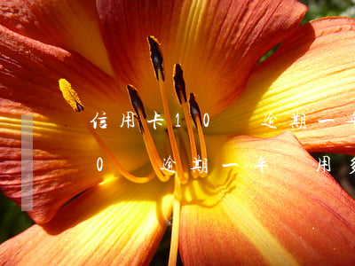 信用卡10萬逾期一年費用多少-信用卡10萬逾期一年費用多少錢
