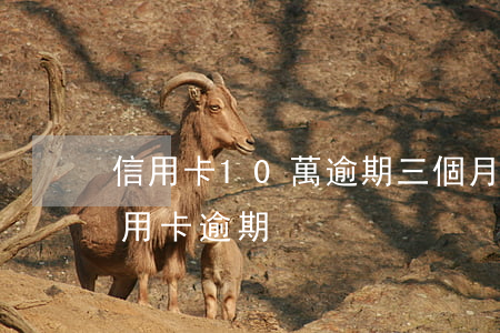 信用卡10萬逾期三個月怎么辦（10萬的信用卡逾期）