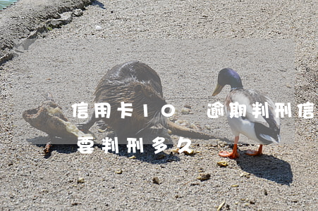 信用卡10萬逾期判刑(信用卡十萬不還起訴,要判刑多久)