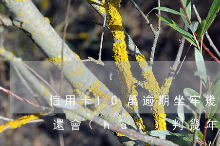 信用卡10萬逾期坐牢幾年(信用卡10萬沒還會(huì)判幾年)