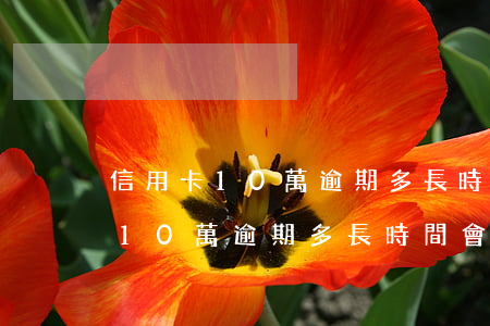 信用卡10萬逾期多長時間會判刑-信用卡10萬逾期多長時間會判刑呢