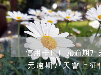信用卡11元逾期7天會上征信(信用卡11元逾期7天會上征信嗎)