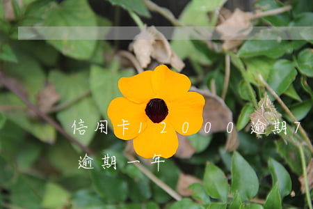 信用卡12000逾期7年(信用卡1500逾期一年)
