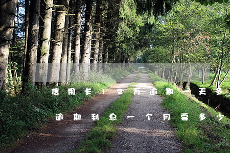 信用卡12万逾期一天多少钱(二十万信用卡逾期利息一个月要多少)