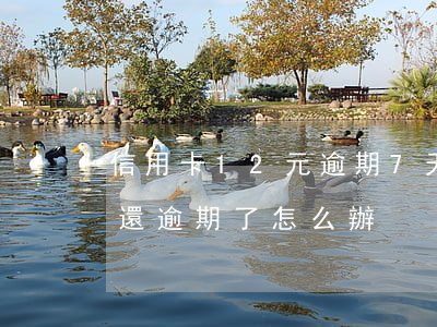 信用卡12元逾期7天-信用卡12元忘了還,逾期了怎么辦