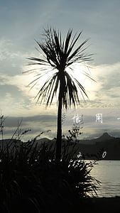 信用卡12塊錢逾期一個(gè)月(信用卡20元逾期15天)