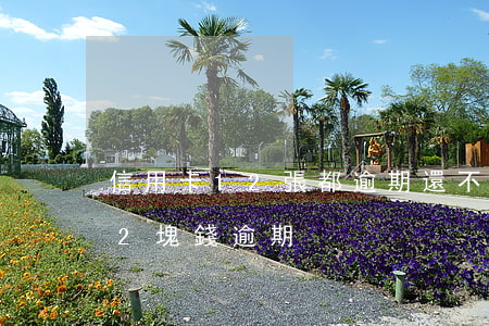 信用卡12張都逾期還不上怎么辦(信用卡12塊錢逾期)
