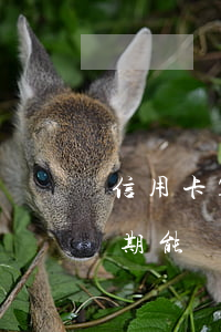 信用卡12次逾期能貸款嗎(信用卡12次逾期能貸款嗎)