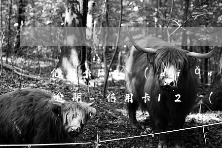 信用卡12點(diǎn)之前還款算不算逾期-信用卡12點(diǎn)之前還款算不算逾期了