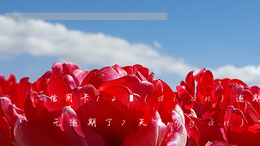 信用卡12點(diǎn)逾期(信用卡12元逾期了7天嚴(yán)重嗎)