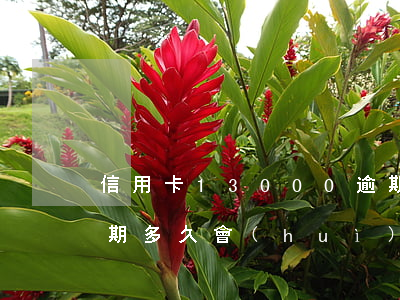 信用卡13000逾期 信用卡13000逾期多久會(huì)被起訴