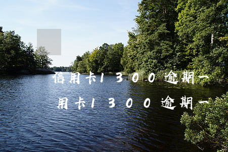 信用卡1300逾期一個月利息是多少-信用卡1300逾期一個月利息是多少錢