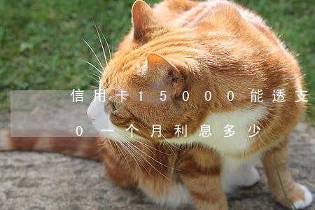 信用卡15000能透支(信用卡透支5000一个月利息多少)