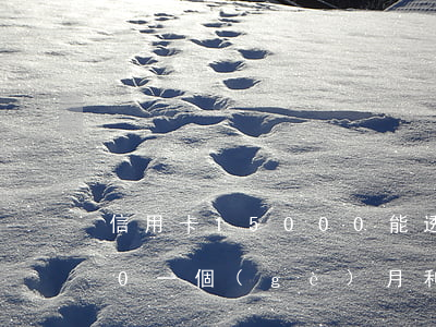 信用卡15000能透支(信用卡透支5000一個(gè)月利息多少)