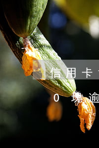 信用卡15000逾期2天(信用卡20000塊逾期一天)